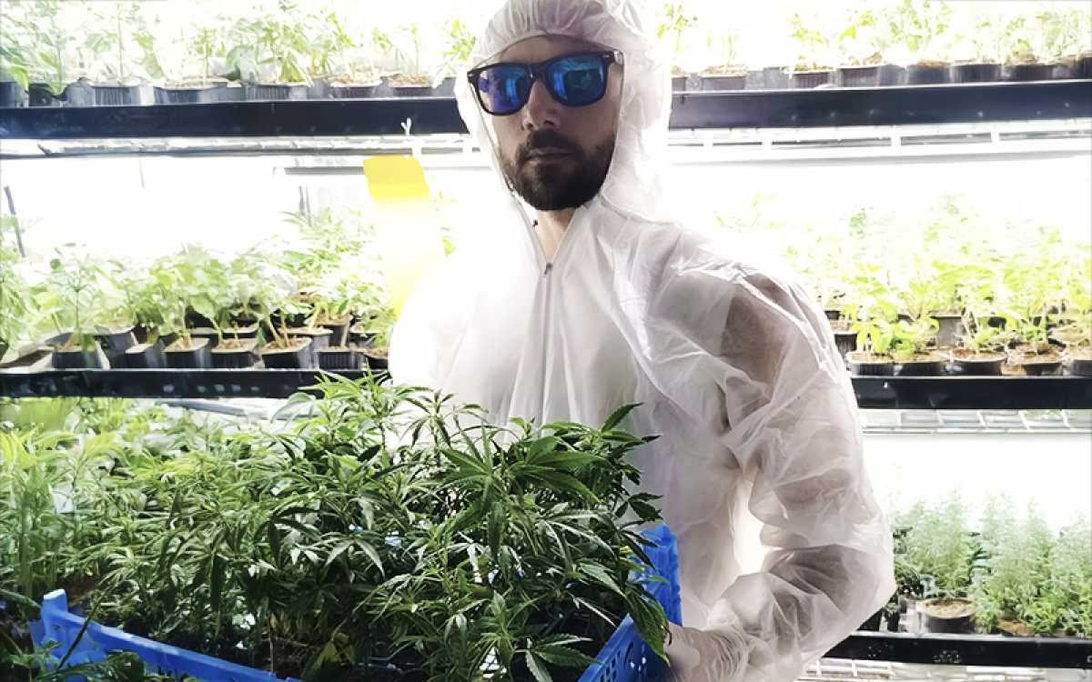 La Tête à l'Ouest (image 3)