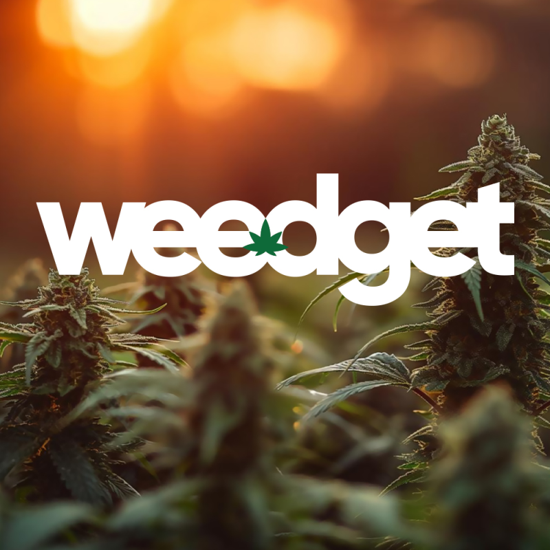Weedget (image 1)
