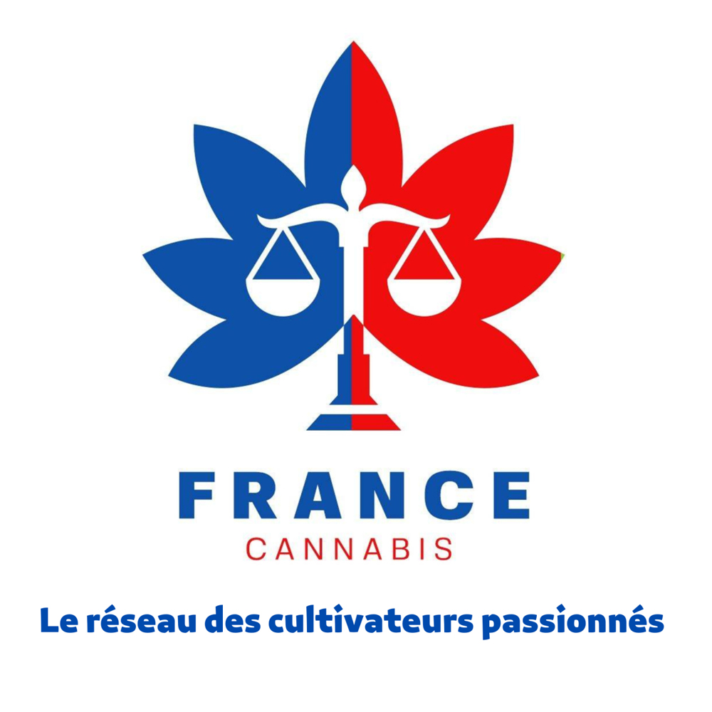 France Cannabis - (image 1)
