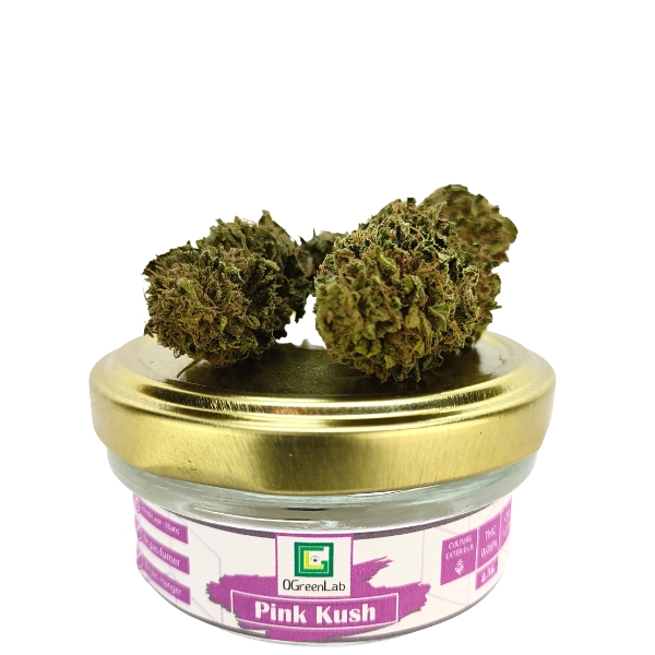 Pink Kush GH