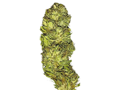 Fleur CBD - Raspberry