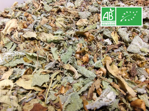 INFUSION BIO – Après Repas