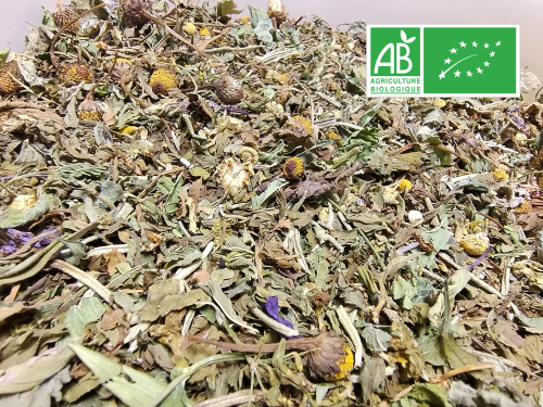 INFUSION BIO – Fresh Heure