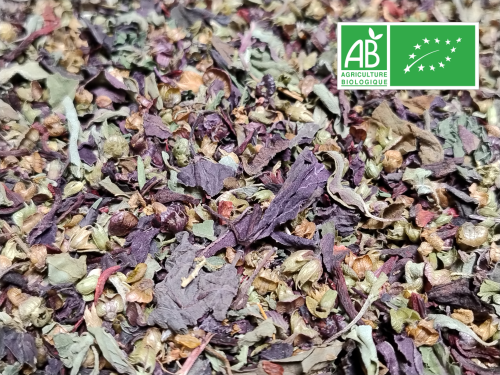 INFUSION BIO – Rubis Vert